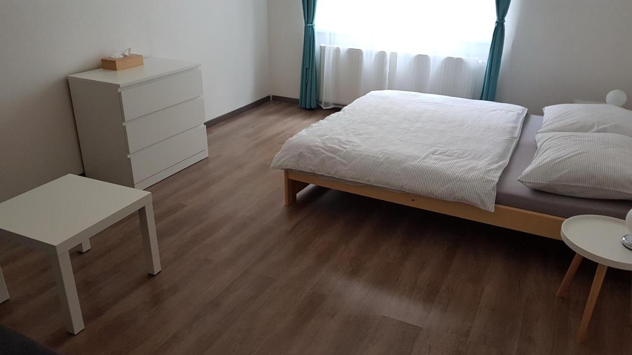 Apartman Pod Zamkem Decin Eksteriør billede